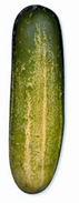 File:Cucumber.jpg