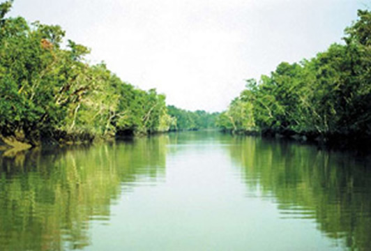 File:SundarbansThe1.jpg