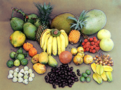 File:Fruit1.jpg