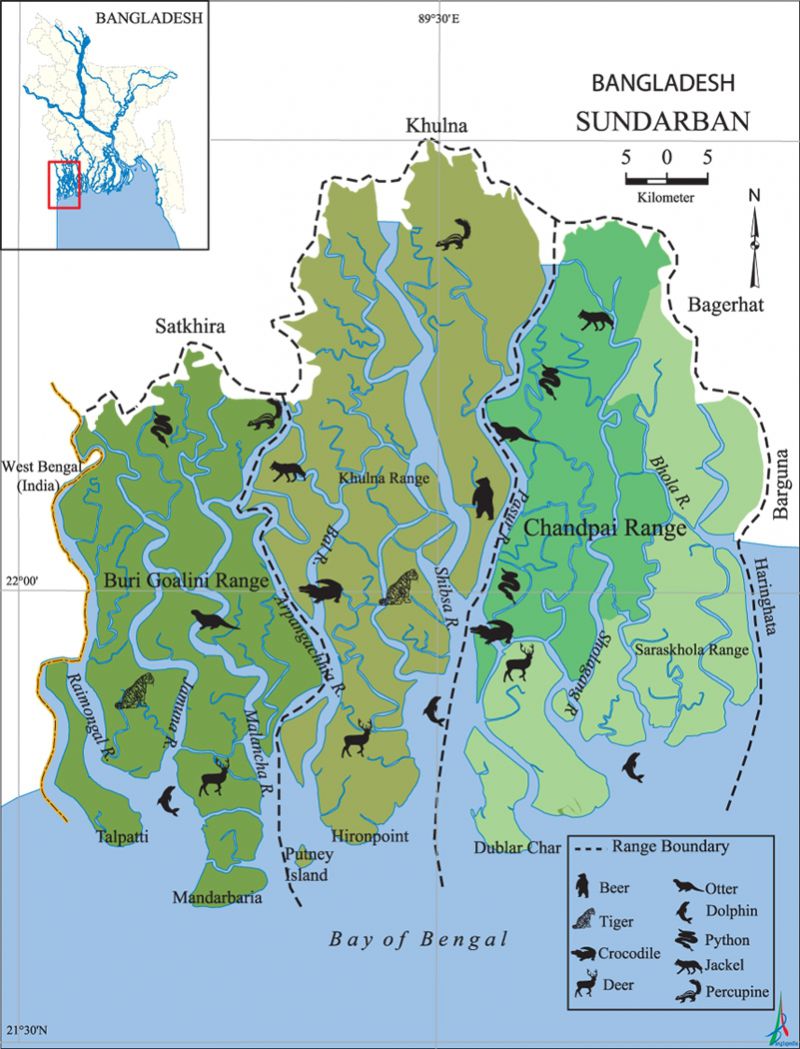 Stream Meaning In Bengali/ Stream শব্দের অর্থ বাংলা