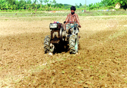 File:Farming01.jpg