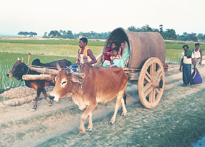 File:BullockCart.jpg