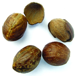 File:Nutmeg.jpg