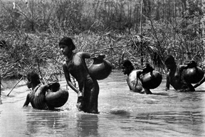 File:PhotographyAnwarHossain.jpg