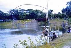 File:FisheriesInlan3.jpg