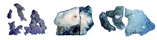 File:Coral01.jpg