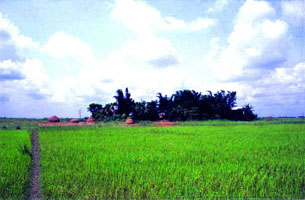 File:ArchitectureRural1.jpg