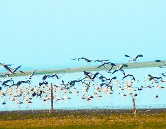 File:HakalukiHaor.jpg