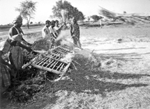 File:AgricultureThreshing3.jpg