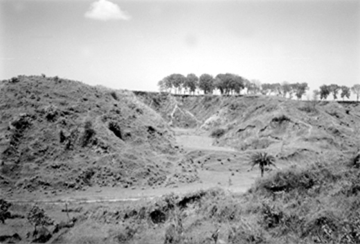 File:SoilDegradation.jpg