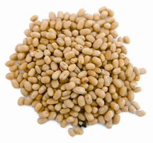 File:Mashkalai.jpg