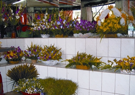 File:Floriculture.jpg