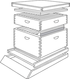 File:ApicultureArtWork.jpg