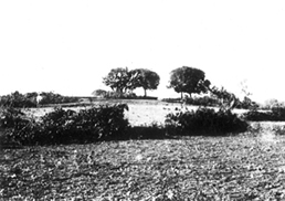 File:BairagirBhitaMahasthan.jpg