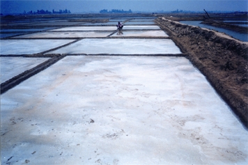 File:SaltIndustry.jpg