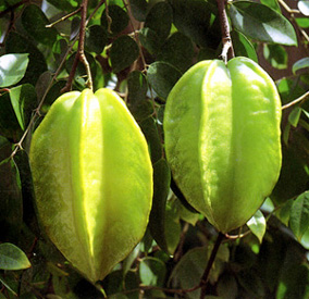 File:Carambola.jpg