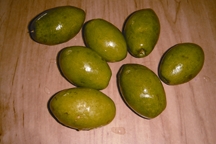 File:Olive.jpg