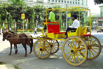 File:HorseCarriage.jpg