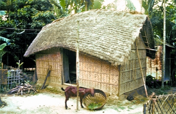 File:RuralArchitecture4.jpg