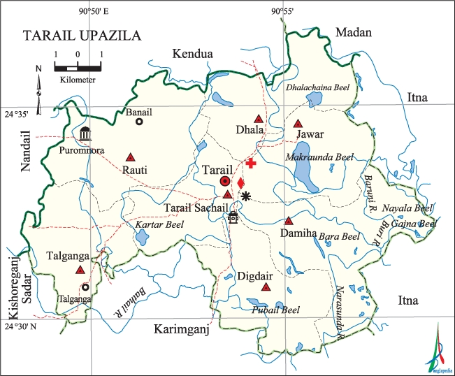 File:TarailUpazila.jpg