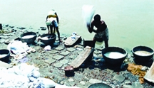 File:Dhopa.jpg