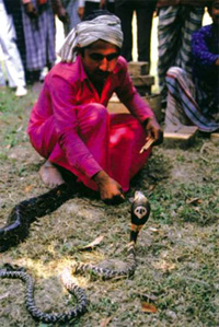 File:SnakeCharmer.jpg