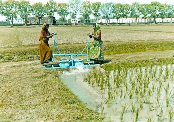 File:Irrigation2.jpg