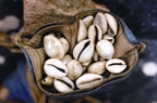 File:Cowrie.jpg
