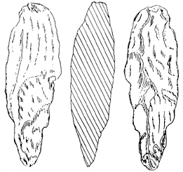 File:Prehistory05.jpg