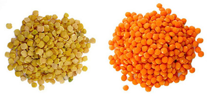File:Pulse01.jpg