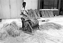 File:AgricultureThreshing2.jpg