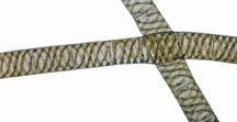 File:BiodiversityGreenAlgae.jpg