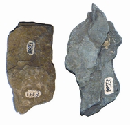 File:RocksAndMinerals3.jpg