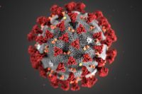 File:Coronavirus.jpg
