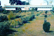 File:MahasthanMuseum.jpg