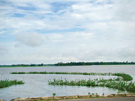 File:ChalanBeel.jpg