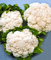 File:Cauliflower.jpg