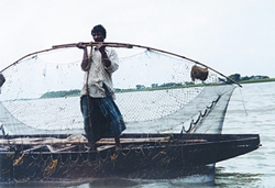 PDF) Traditional fishing gears of Birbhum district, West Bengal