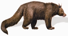 File:BearBinturong.jpg