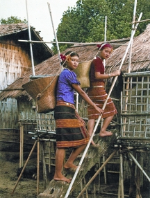 File:TribalCultureHouse.jpg