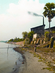 File:EnvironmentPollution3.jpg