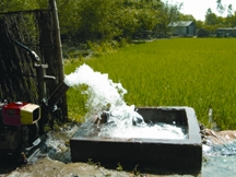 File:AgricultureIrrigation.jpg