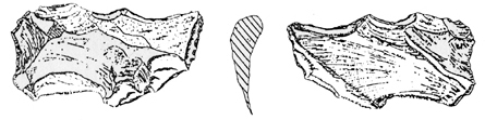 File:Prehistory02.jpg