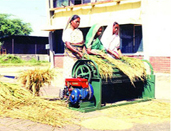 File:RiceThreshing3.jpg
