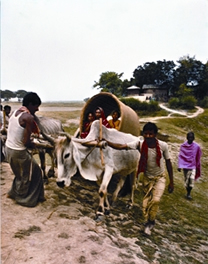 File:BullockCort.jpg