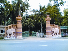 File:BhawalNationalPark.jpg
