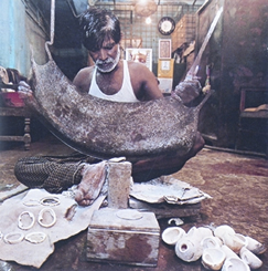 File:ConchCraft.jpg