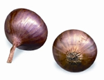 File:Onion.jpg