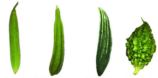 File:Gourd2.jpg
