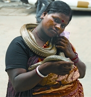 File:Bedey1.jpg